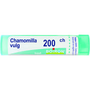 Chamomilla boi 200ch gr4g