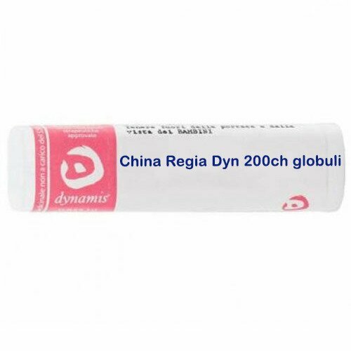 China regia dyn 200ch gl