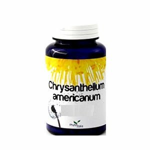 Chrysantellum american 60cps