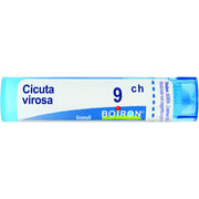 Cicuta virosa boi 9ch 80gr 4g