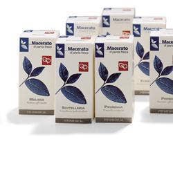 Cipresso 50 ml tintura madre