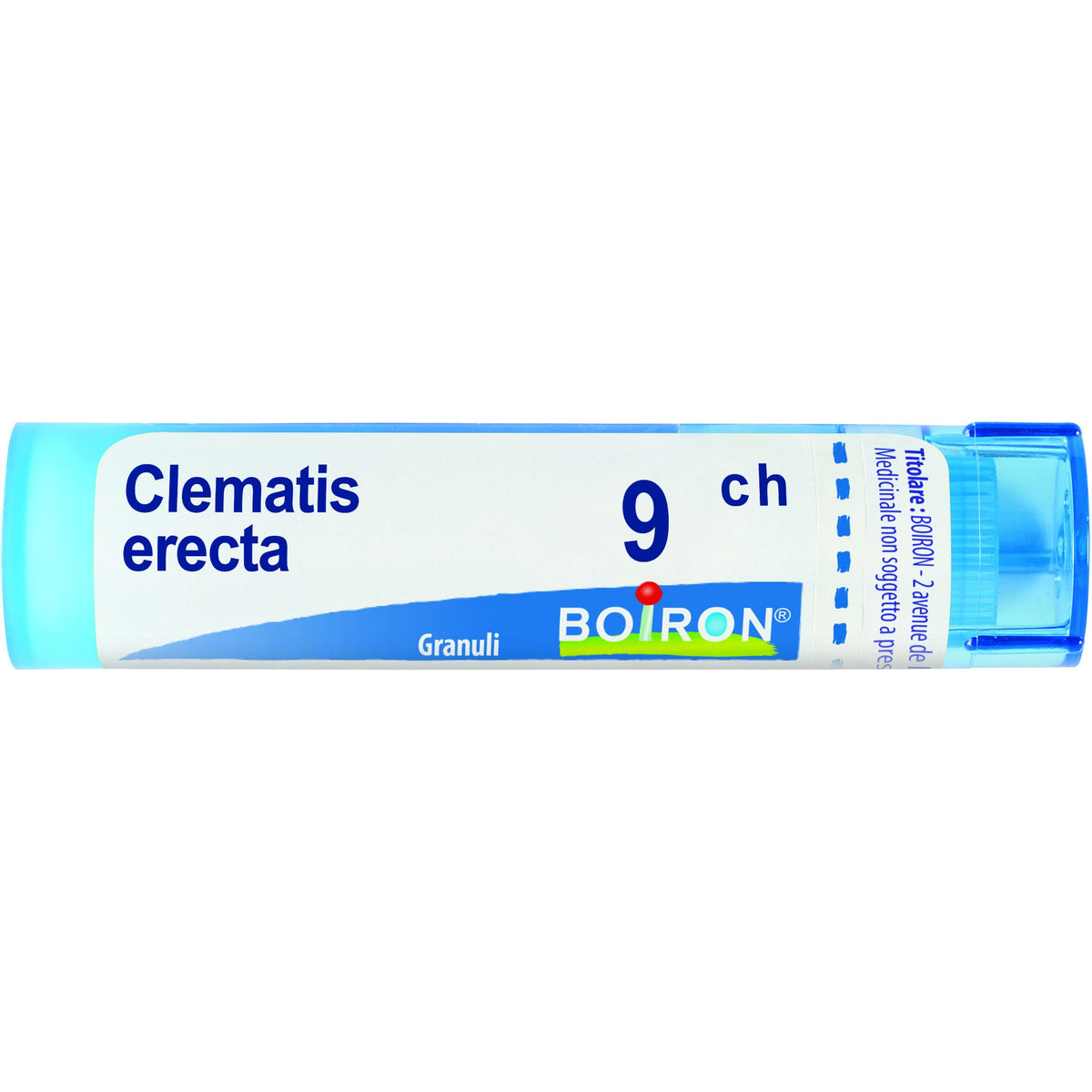 Clematis erec boi 9ch 80gr 4g