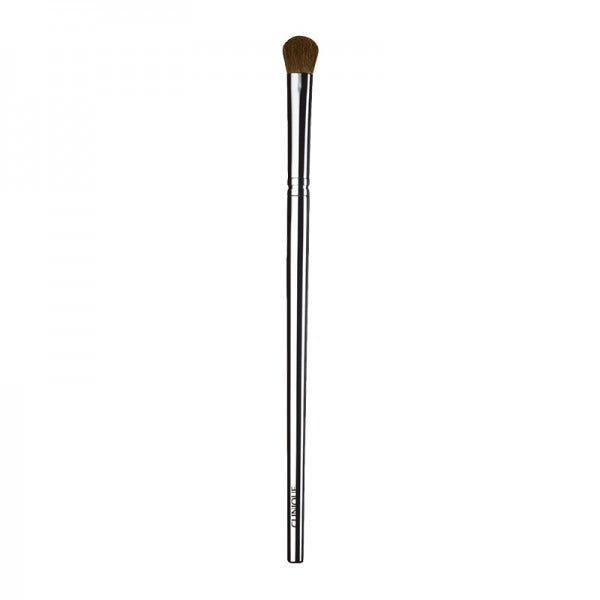 Clinique spring eyeshadow brush