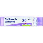 Collinsonia c boi 30ch 80gr