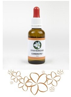 Combinazione 1 23,67 g