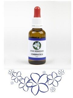 Combinazione 8 23,67 g