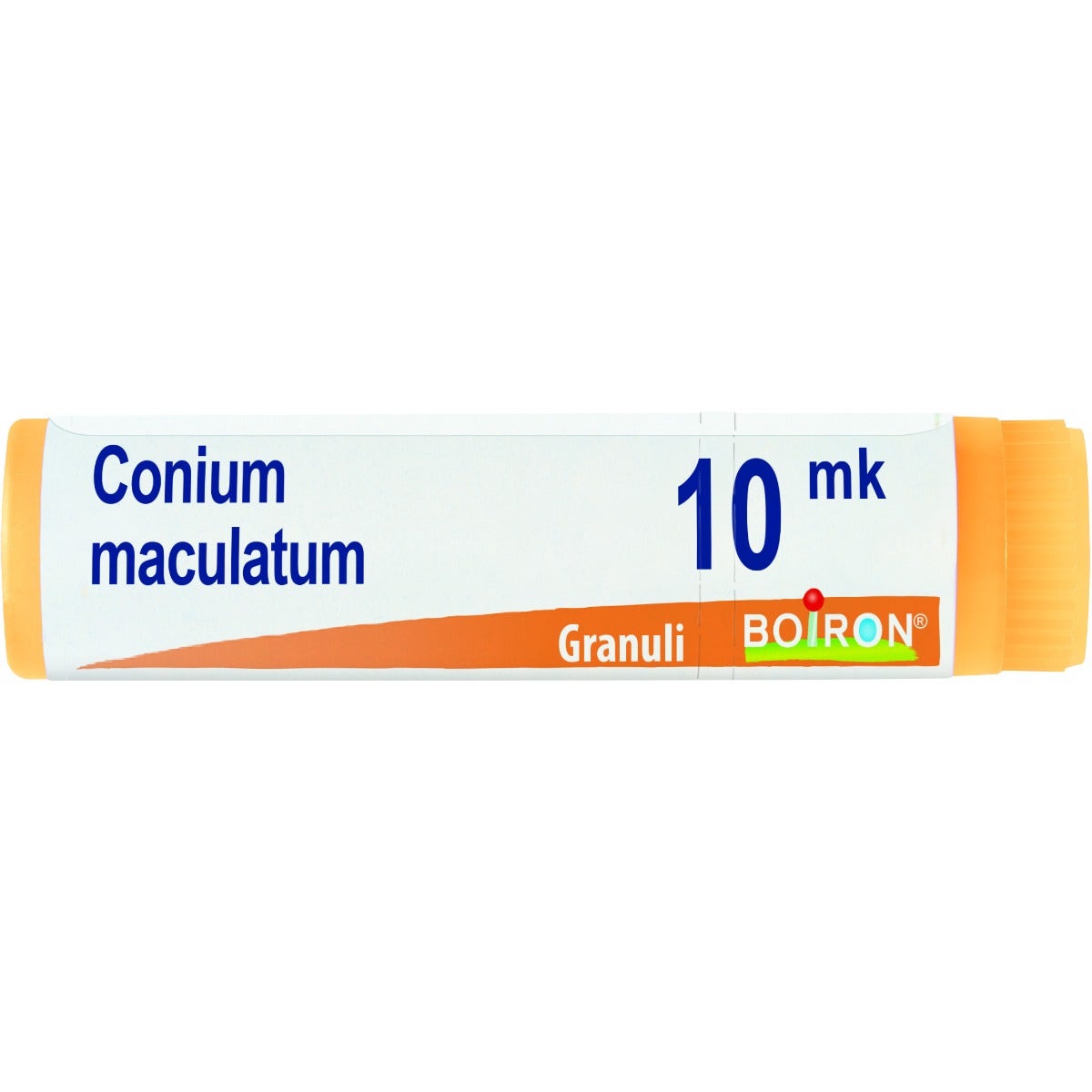 Conium maculatum xmk gl