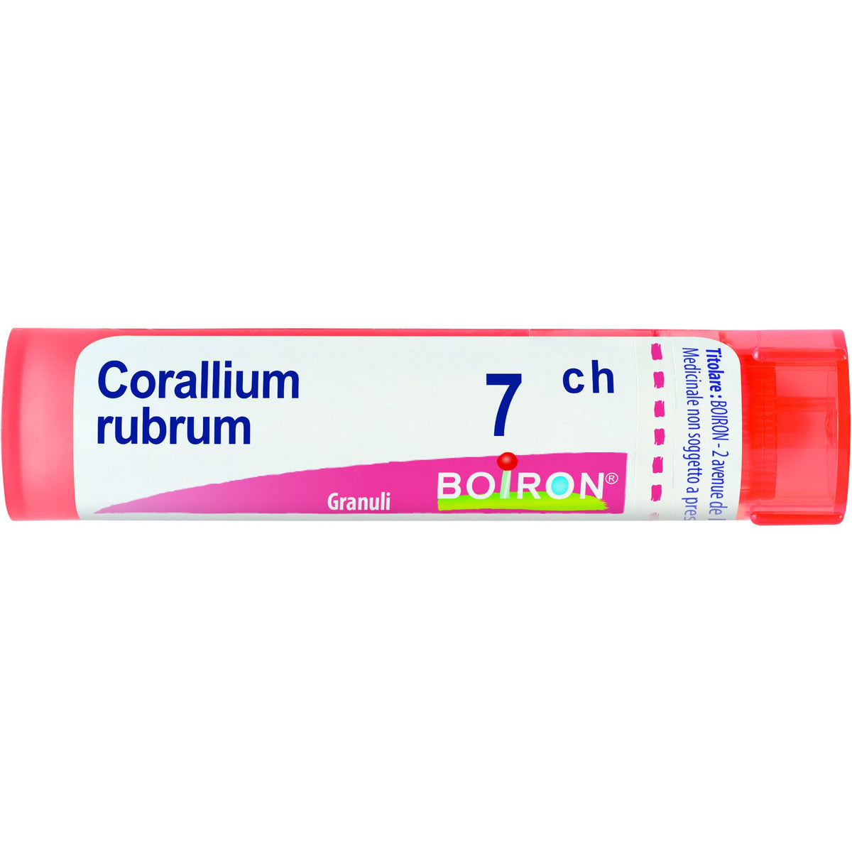 Corallium rubrum 7ch gr