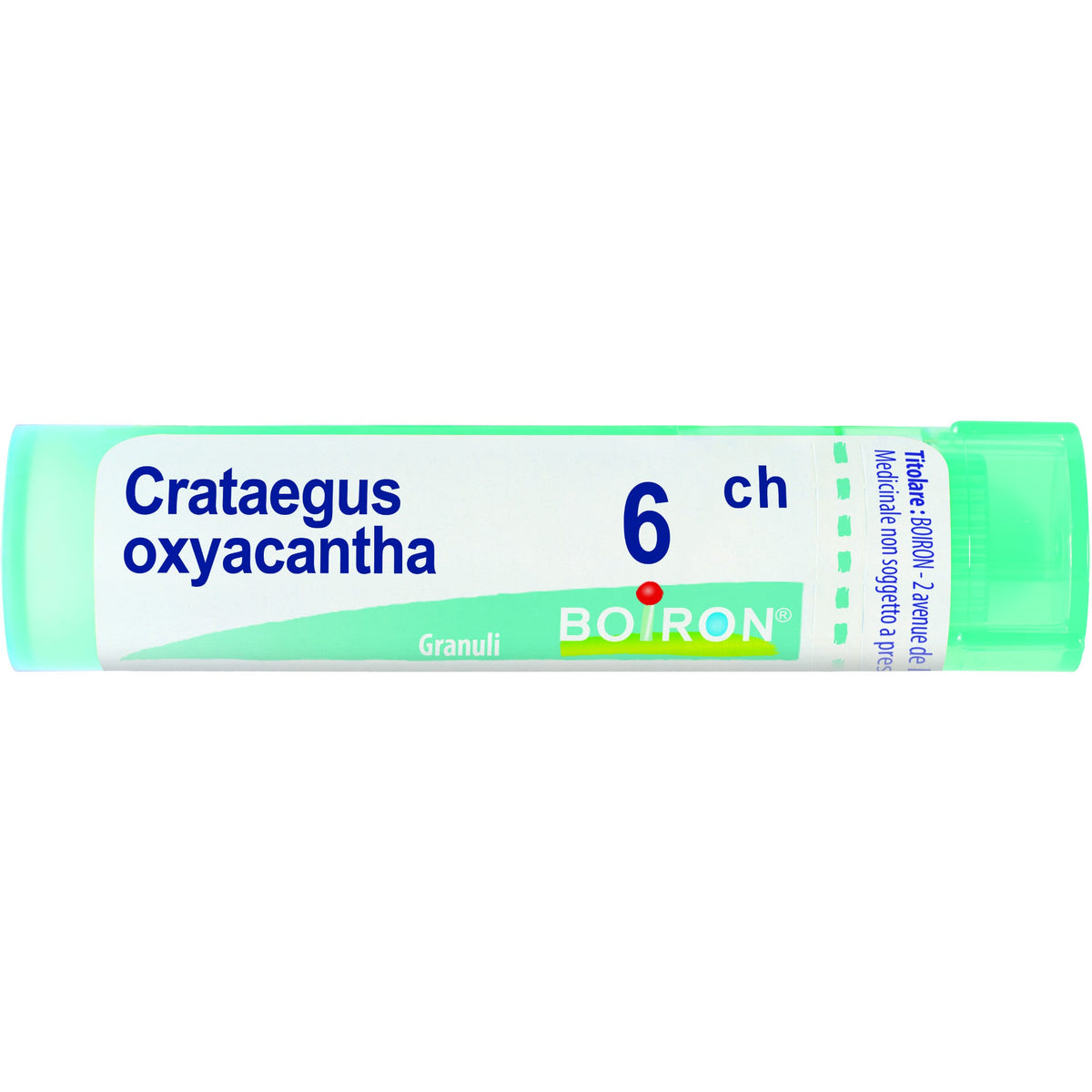 Crataegus oxyacantha 6ch gr