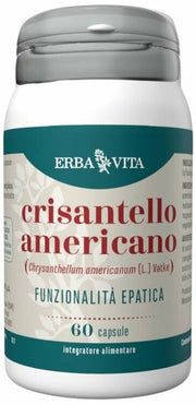 Crisantello americano 60cps