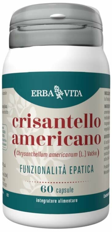 Crisantello americano 60cps