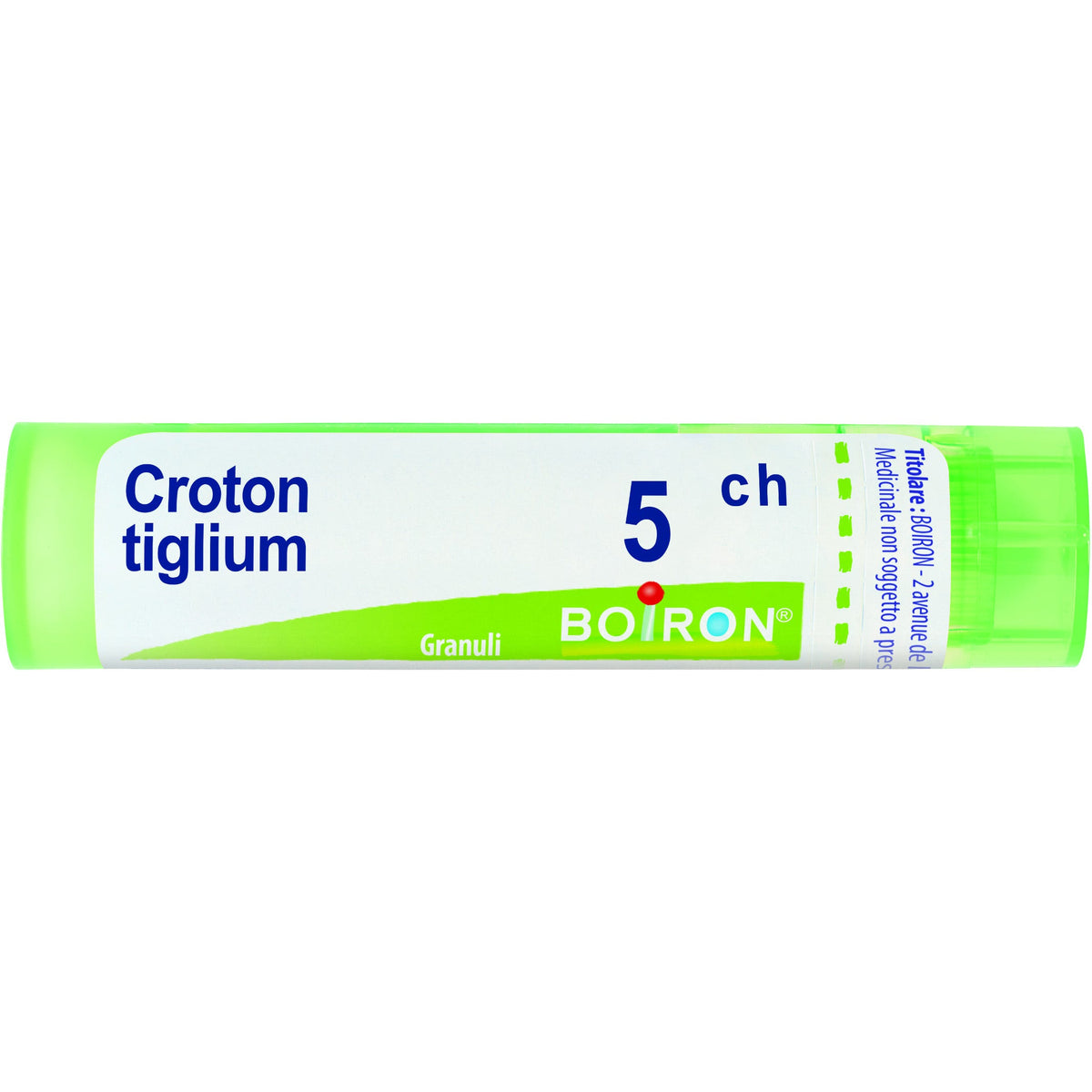 Croton tiglium 5ch gr