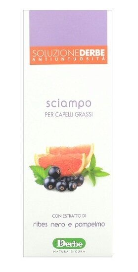 Derbe shampoo anti untuosita' 200 ml