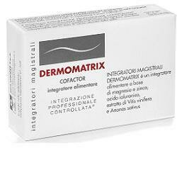 Dermomatrix integratore magistrale 20cps