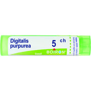 Digitalis pur boi 5ch 80gr 4g