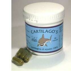 Dr pock cartilago's 50 capsule