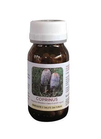 Dr pock coprinus 50 capsule