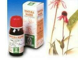 Echinacea 59 50ml tintura madre