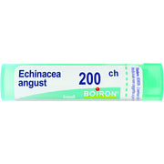 Echinacea angust 200ch gr