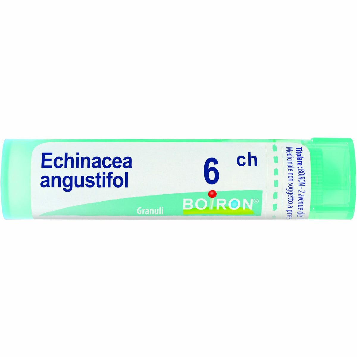 Echinacea angust 6ch gr