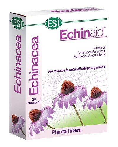 Echinaid 30 capsule
