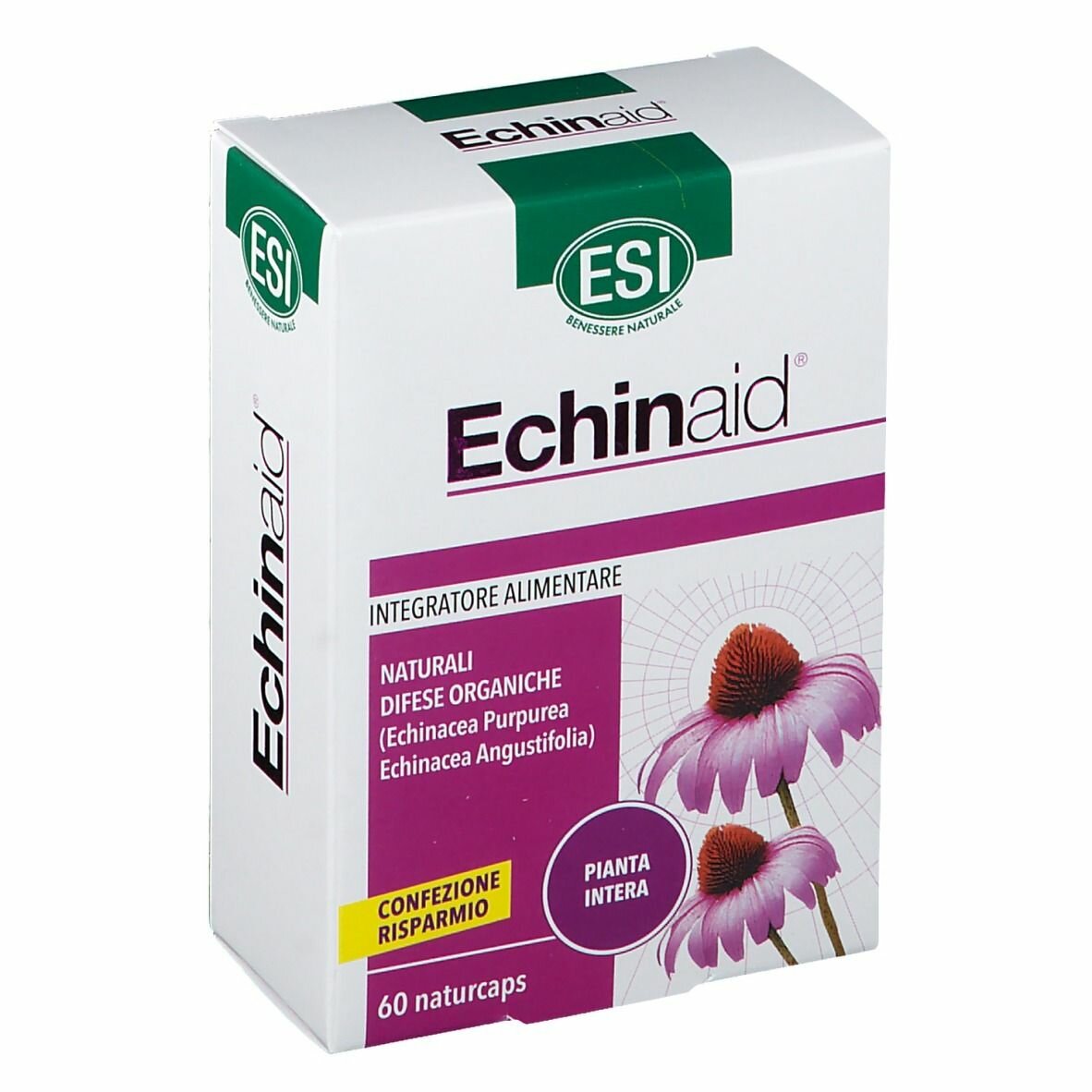 Echinaid 60 capsule