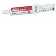 Energy fast siringa os 80g