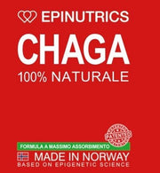 Epinutrics epi chaga 60 capsule