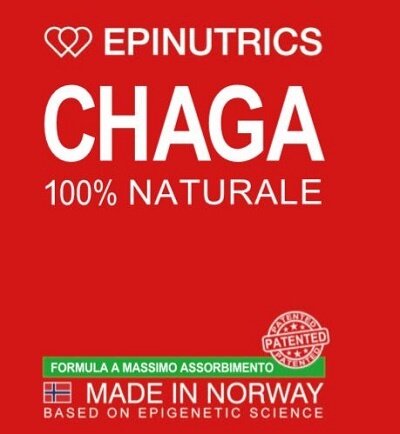 Epinutrics epi chaga 60 capsule