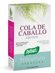 Equiseto 40 capsule
