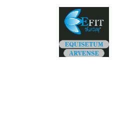 Equisetum arvense estratto fluido 30 ml