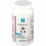 Ergymag 90 capsule