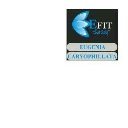 Eugenia caryophyllata estratto fluido 30 ml