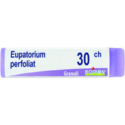 Eupatorium p boi 30ch gl