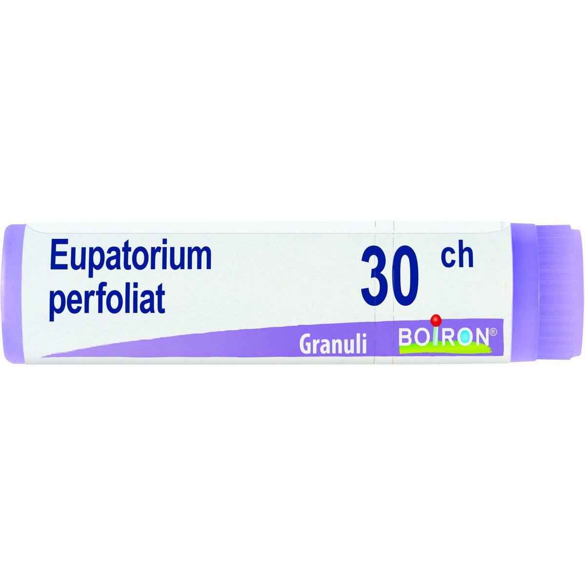 Eupatorium p boi 30ch gl
