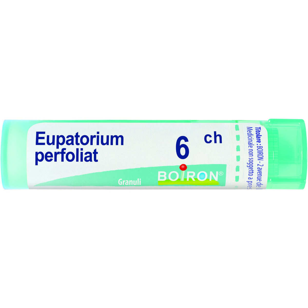 Eupatorium p boi 6ch80gr