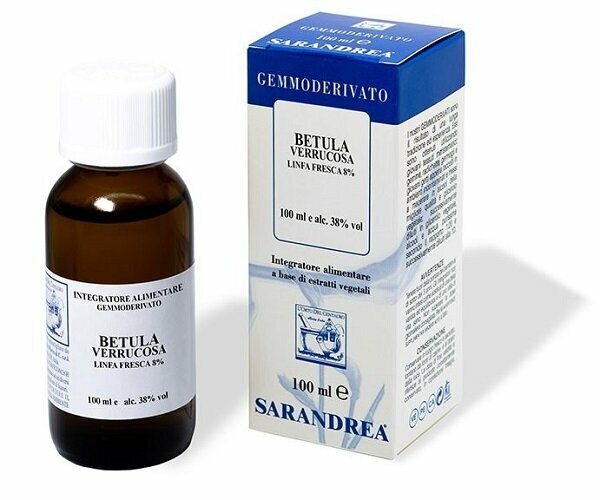 Extragem betulla verrucosa gem