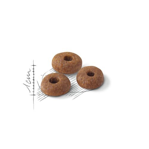 Feline Health Nutrition FIT-32 Mantenimento del Peso 400g