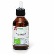 Fico gemme bio mg 100ml