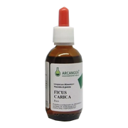 Ficus carica bio 33gradi 100ml