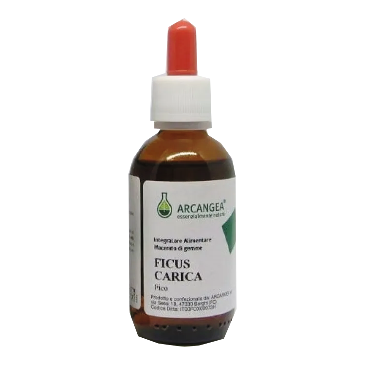 Ficus carica bio 33gradi 100ml