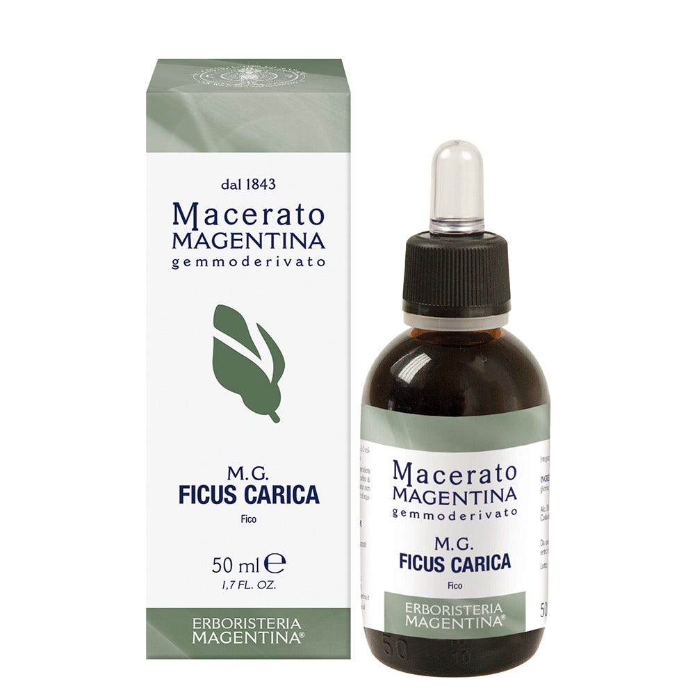 Ficus carica macerato mage50ml