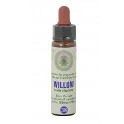 Fiori bach 38 sali classico gocce 10 ml
