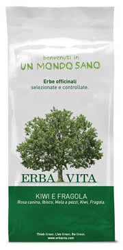 Fruit tea infuso kiwi/fra 100g