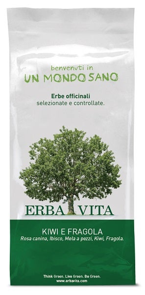 Fruit tea infuso kiwi/fra 100g