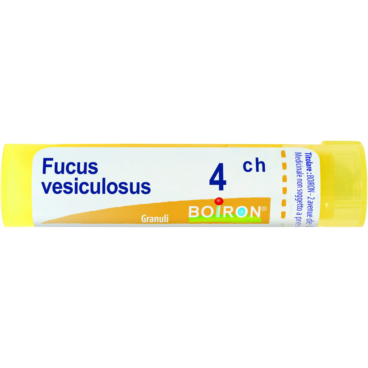 Fucus vesiculosus 4ch gr
