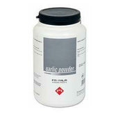 Garlic powder os 1000g