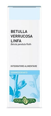 Gemmoderivato betulla linfa 50