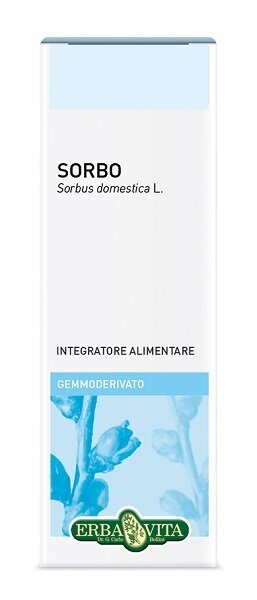Gemmoderivato sorbo 50ml