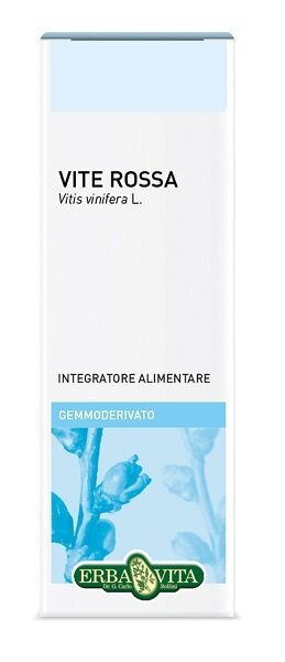 Gemmoderivato vite rossa 50 ml